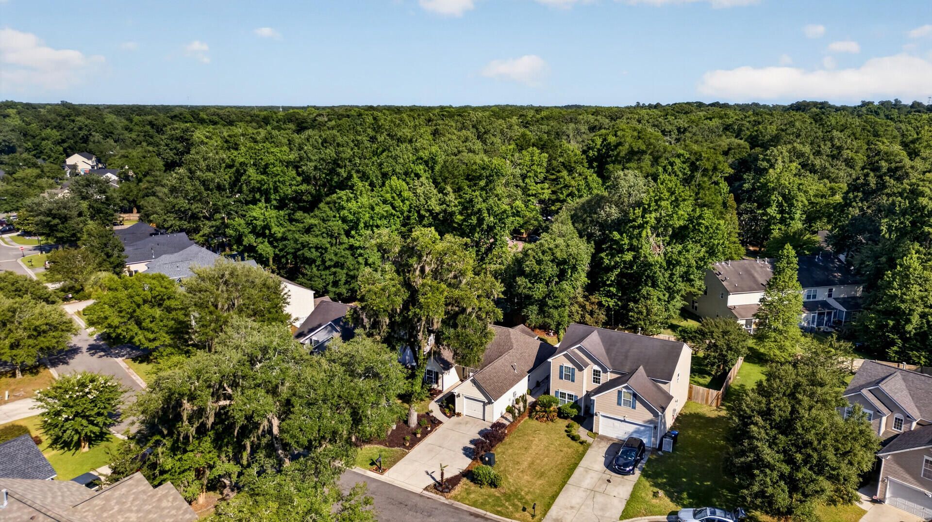 213 Moon Shadow Lane Photo 44