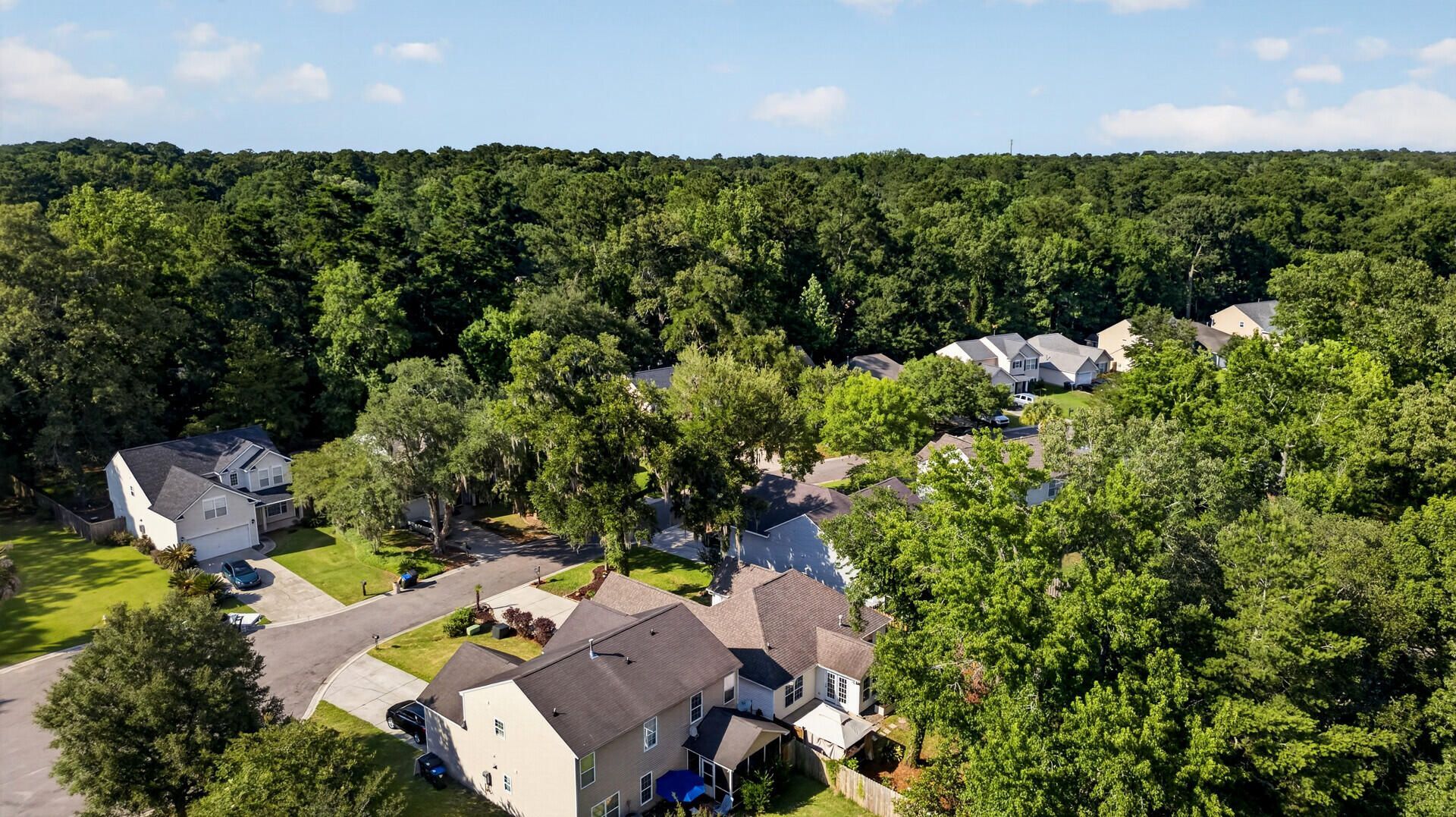 213 Moon Shadow Lane Photo 45