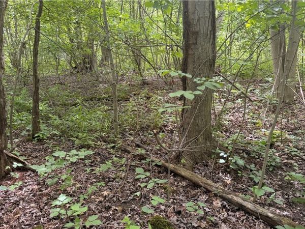 Ninevah Road , Geneva, OH 44041