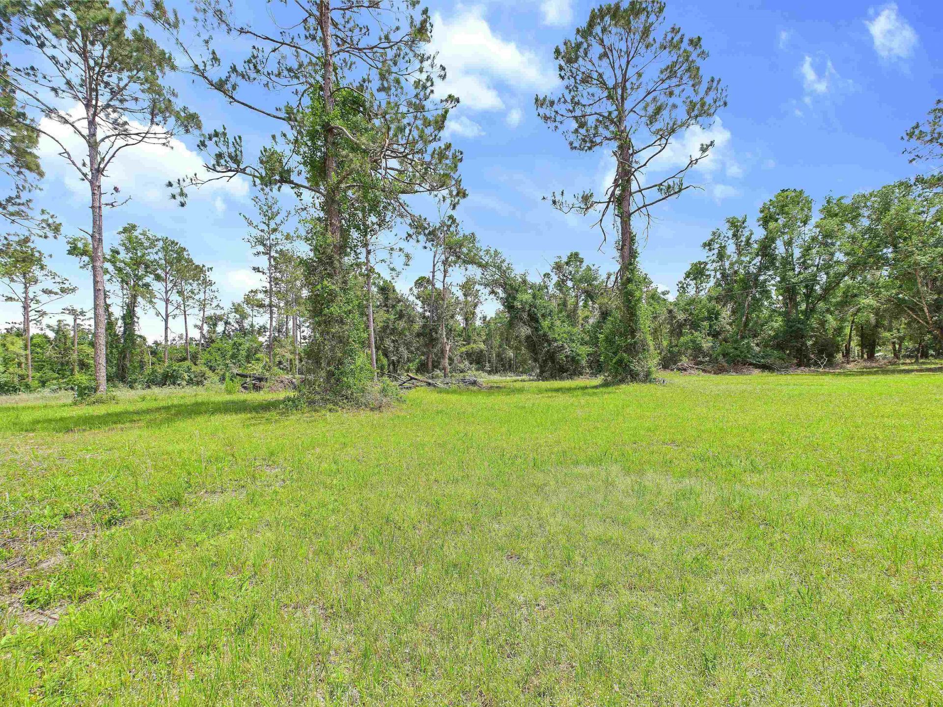 00 Beach Road , Perry, FL 32348 Photo