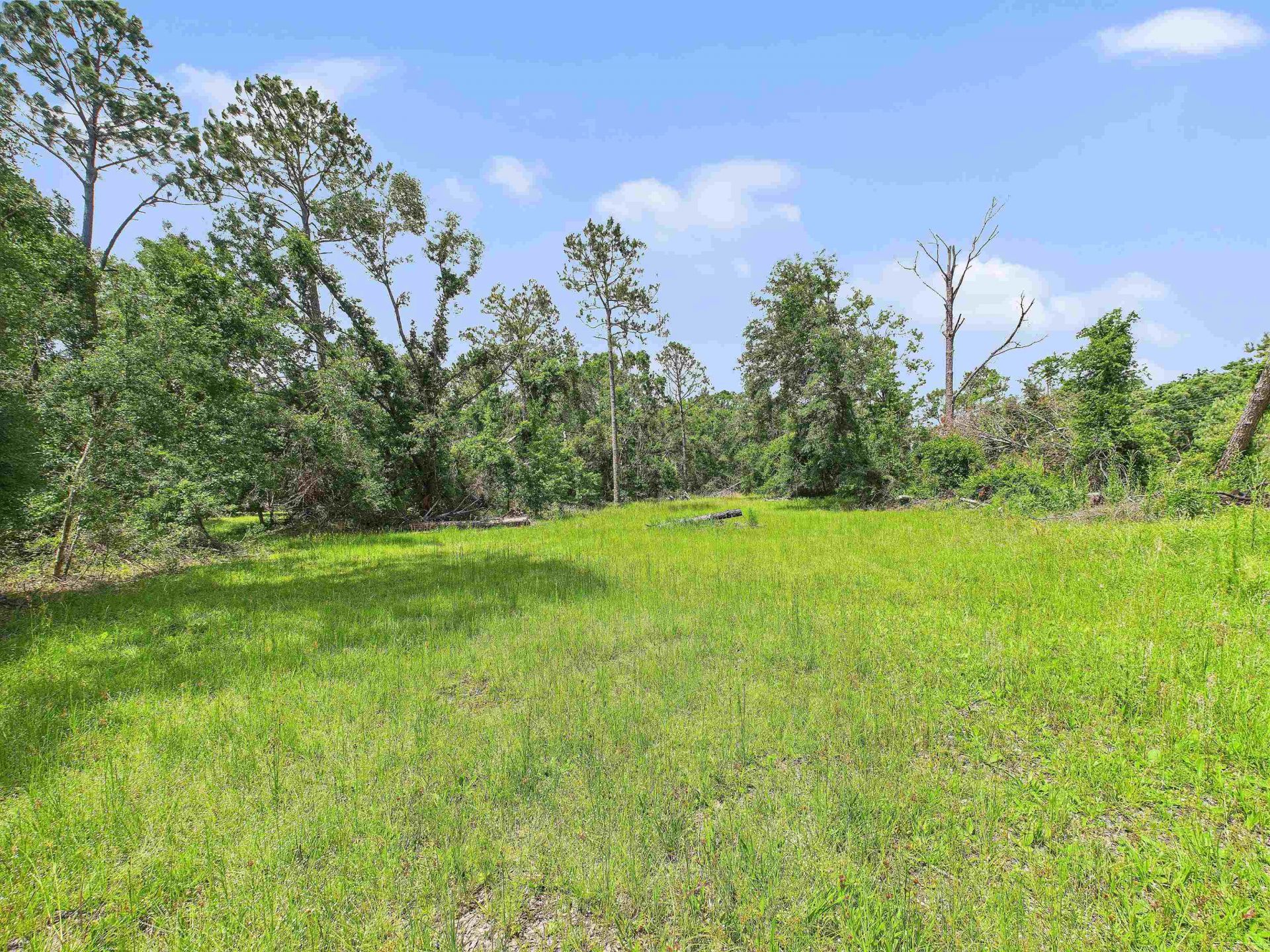 00 Beach Road , Perry, FL 32348 Photo