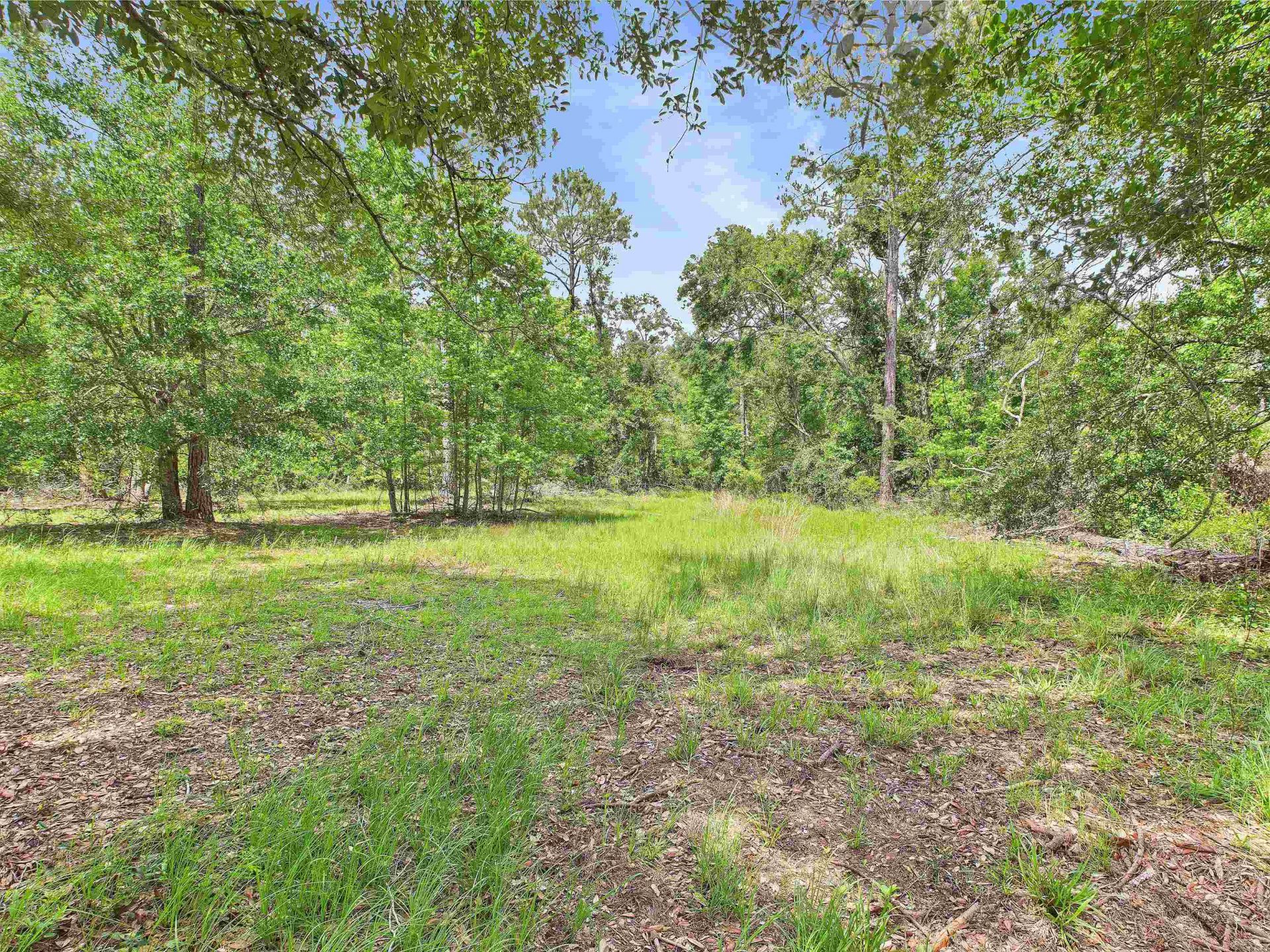 00 Beach Road , Perry, FL 32348 Photo
