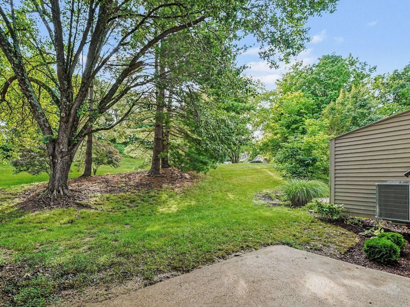 51 Springhouse Drive, Cold Spring, KY 41076 Photo 4