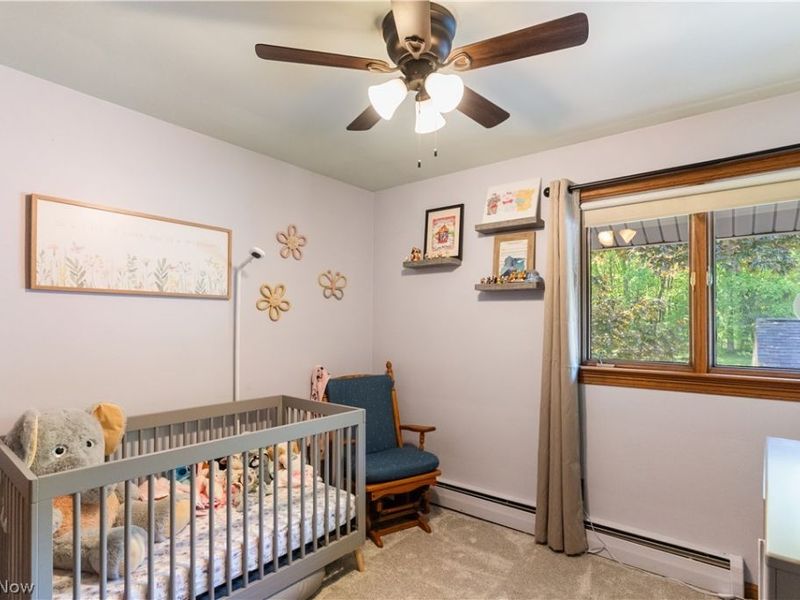 4204 S Bailey Road, North Jackson, OH 44451 Photo 16
