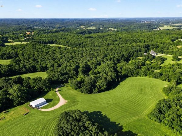 425 Lake Branch Road, Clever, MO 65631