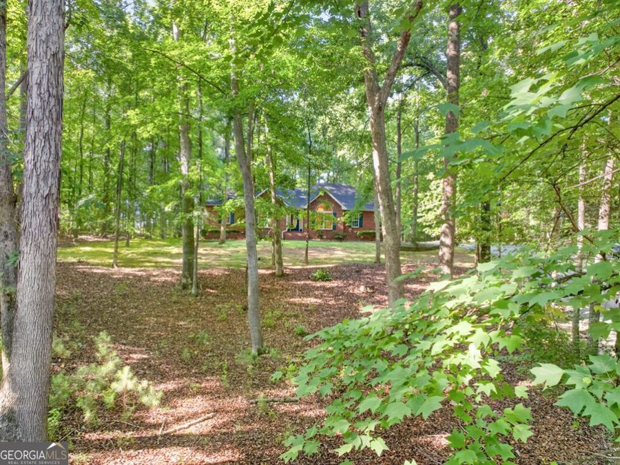 Property Image 60