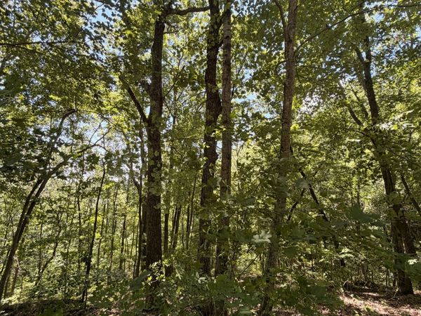 0 Woodcrest Dr , Unit 312, Smithville, TN 37166