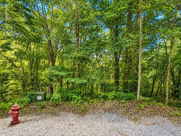 0 Woodcrest Dr , Unit 312, Smithville, TN 37166
