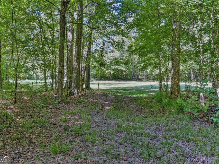 Property Image 54