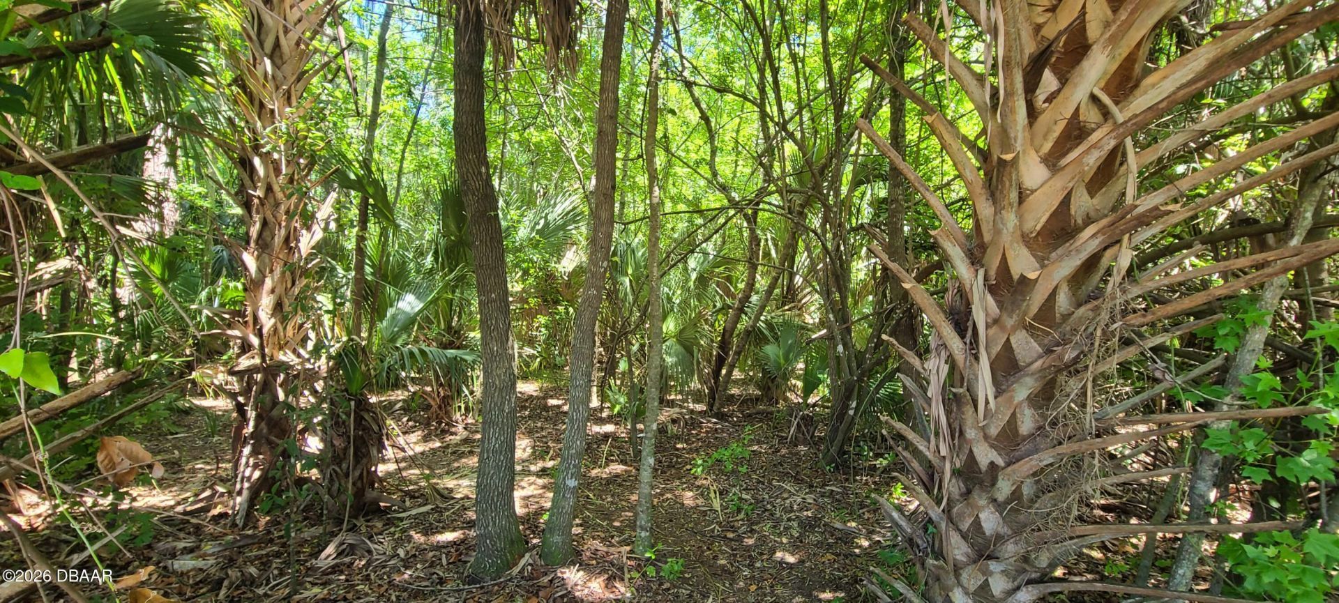 3735 S Nova Road, Port Orange, FL 32129 Photo