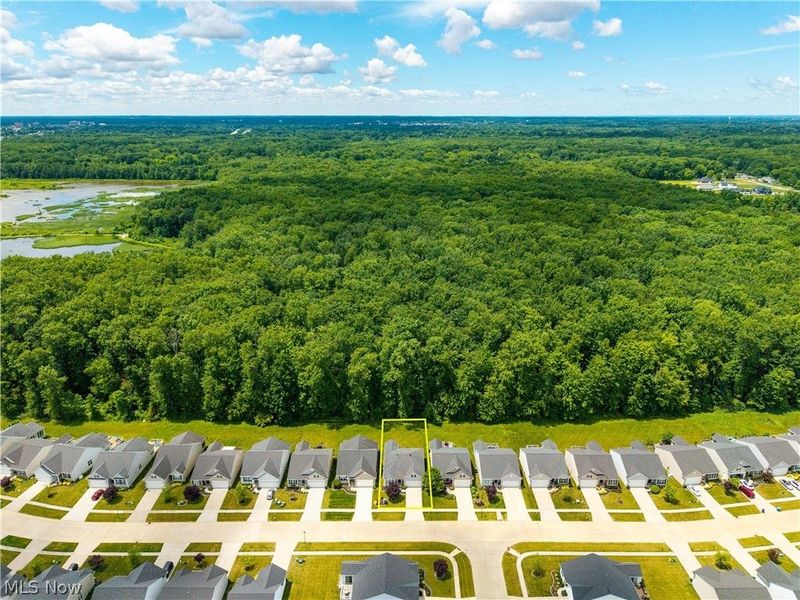 6560 Amber Way, North Ridgeville, OH 44039 Photo 38