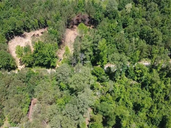 000 Lot 7 Bays Lake Road , Bankston, AL 35542