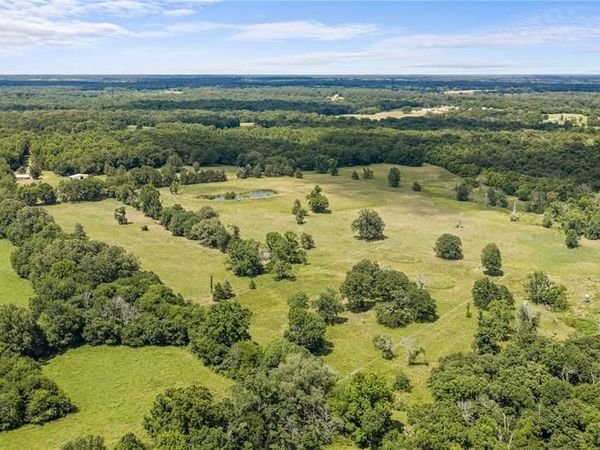 16912 FM 44, Avery, TX 75554
