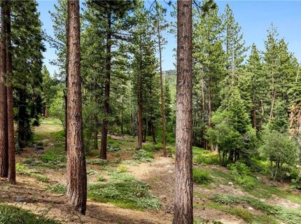 856 Lake Country Drive, Incline Village, NV 89451 Photo