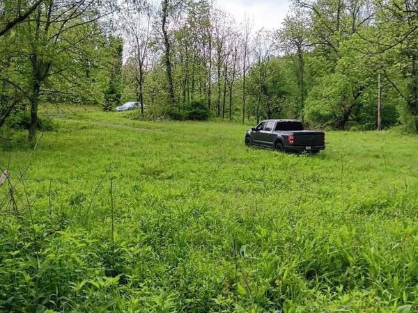 0 Meathouse Fork Road, New Milton, WV 26411