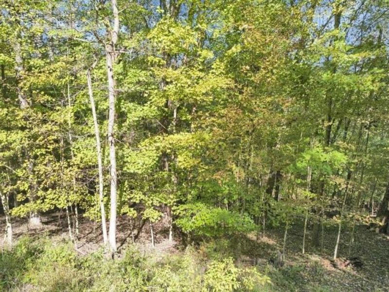 1832 Piegan Court , Logan, OH 43138 Photo 11