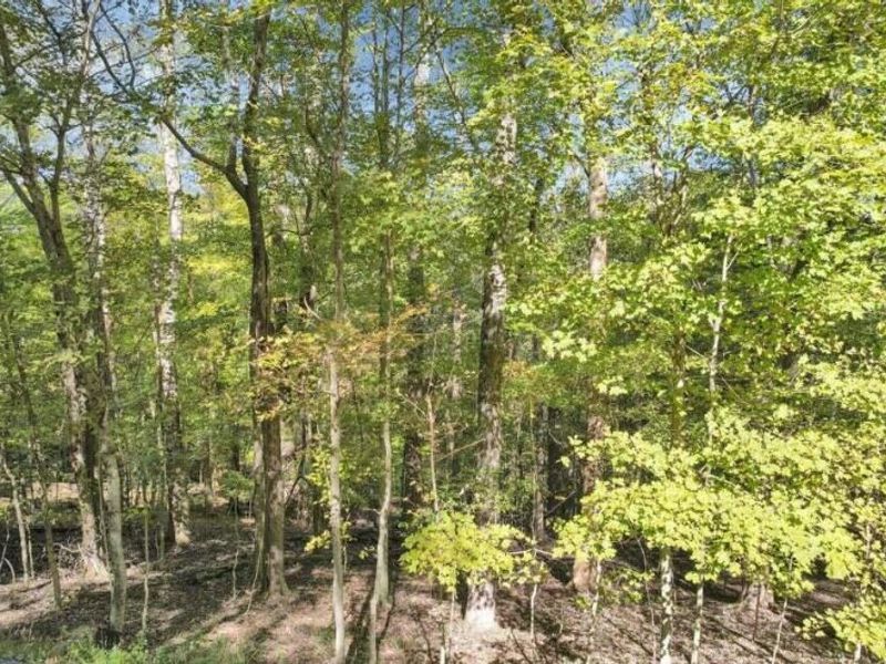 1832 Piegan Court , Logan, OH 43138 Photo 12