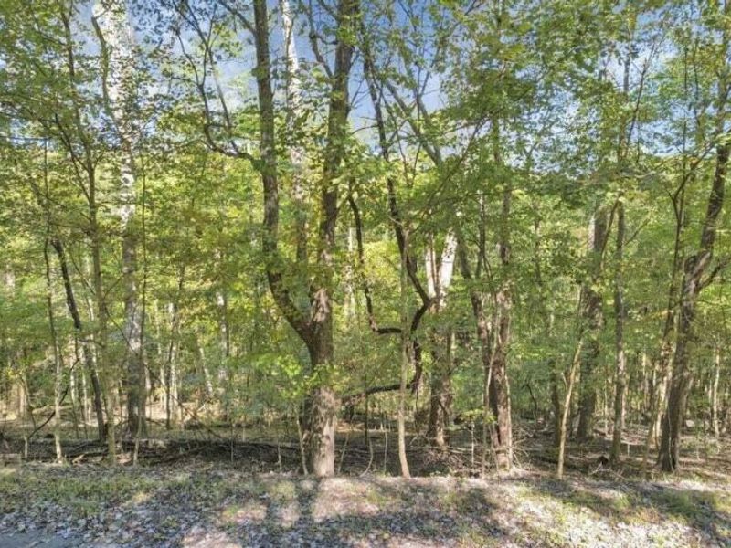 1832 Piegan Court , Logan, OH 43138 Photo 13