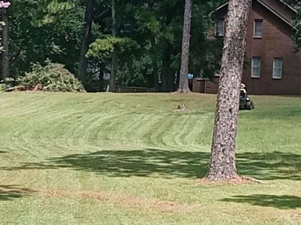 207 Timberland Drive, Cordele, GA 31015