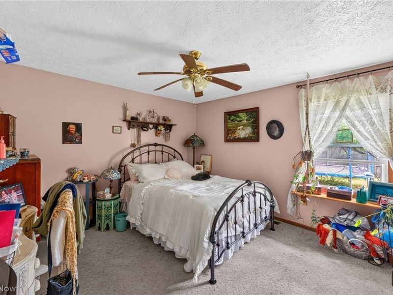 339 Horseshoe Drive , Lagrange, OH 44050 Photo 10