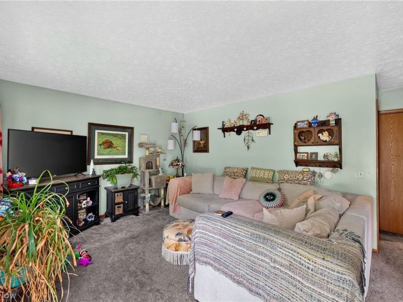 339 Horseshoe Drive , Lagrange, OH 44050 Photo 7