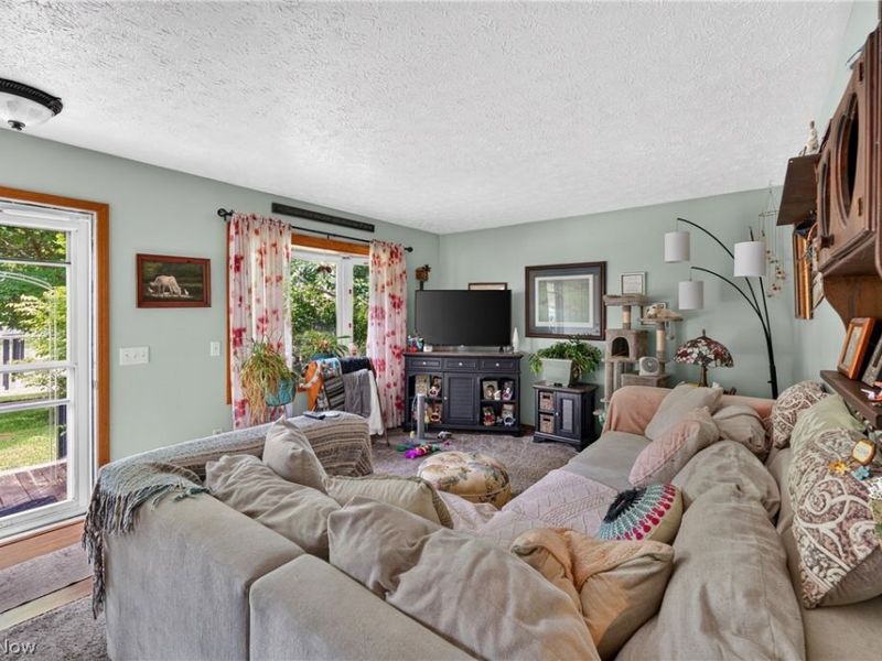 339 Horseshoe Drive , Lagrange, OH 44050 Photo 8