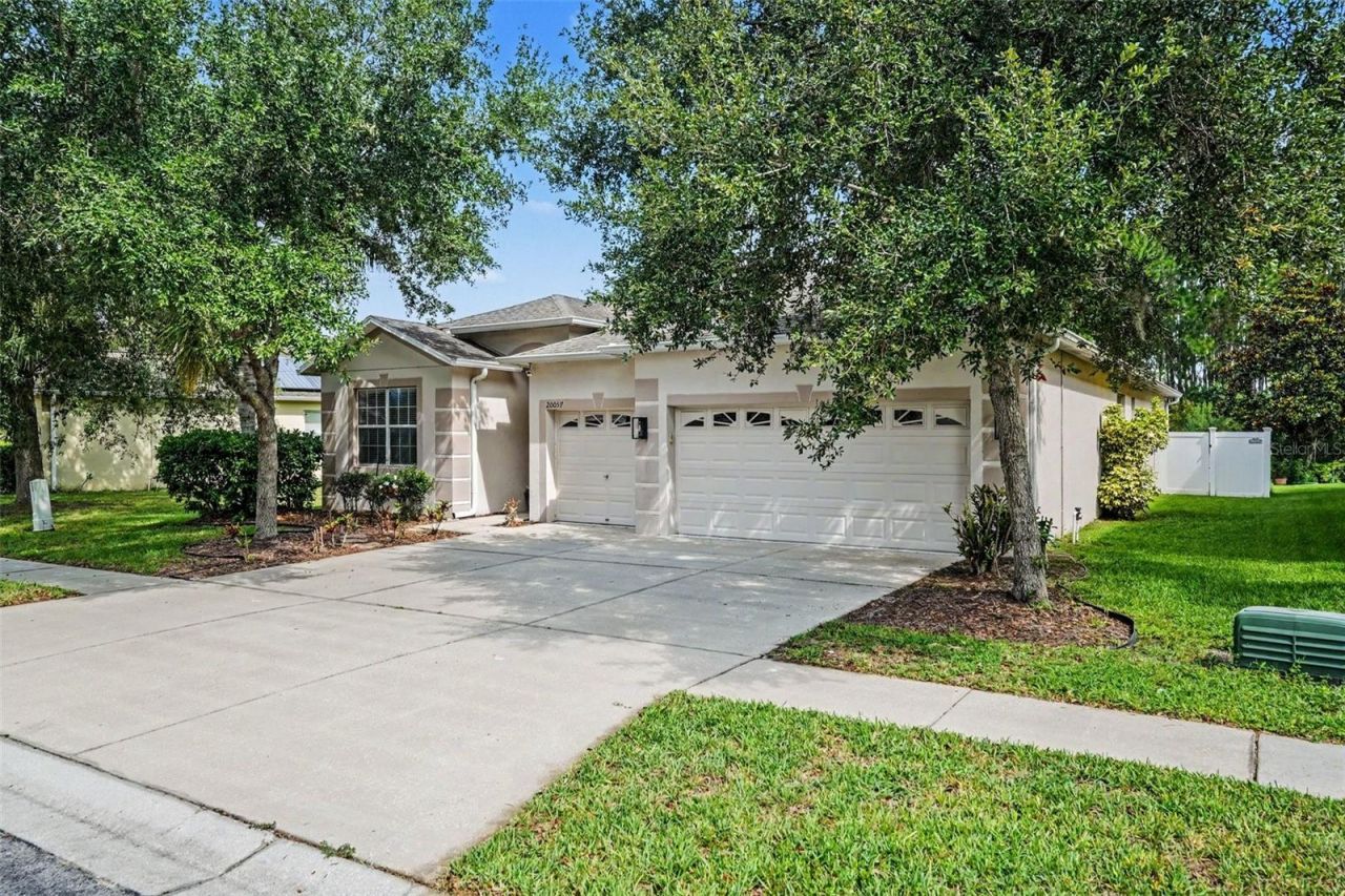 20057 Oakflower Avenue, Tampa, FL 33647 Main Photo