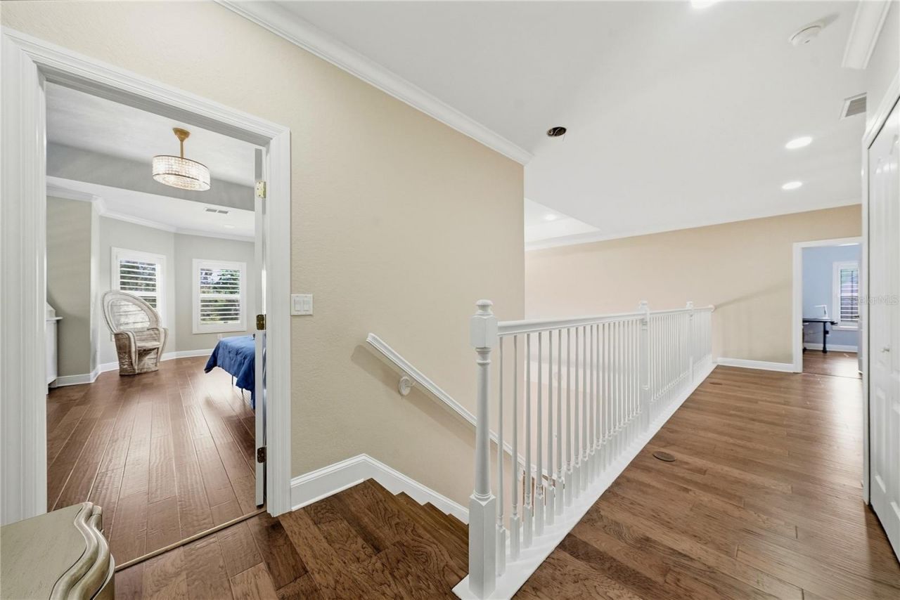 9244 Rhea Drive, Odessa, FL 33556 Photo