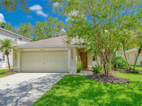 13220 ROYAL GEORGE AVENUE , ODESSA, FL 33556
