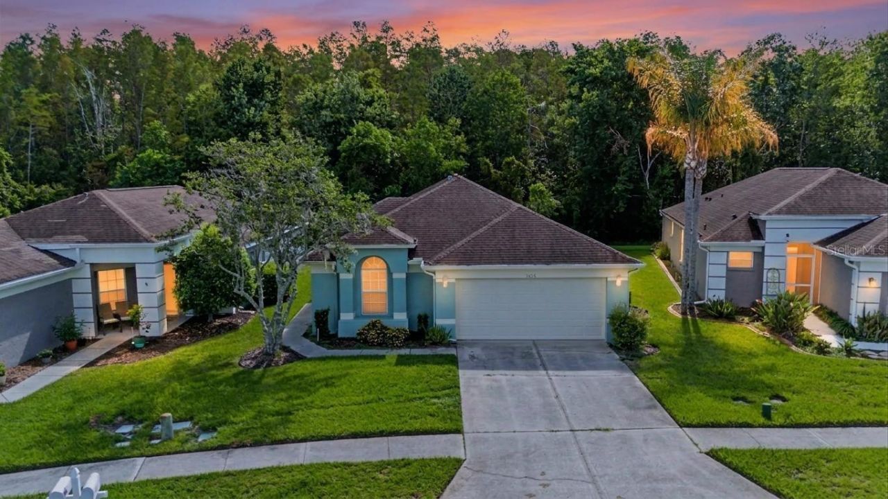 5526 Gallant Fox Court, Wesley Chapel, FL 33544 Main Photo