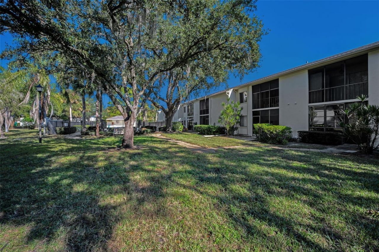 110 Cypress Ct , Unit 3-82, Oldsmar, FL 34677 Photo