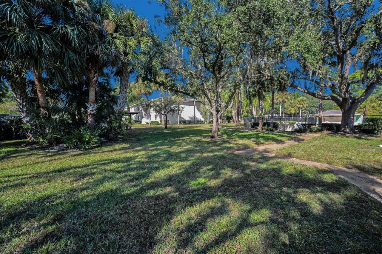 110 Cypress Ct , Unit 3-82, Oldsmar, FL 34677 Photo