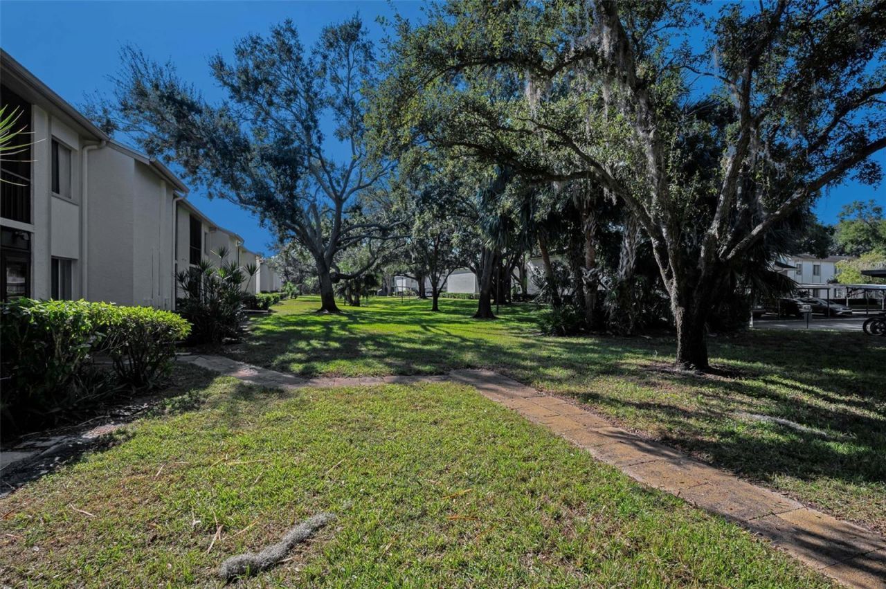 110 Cypress Ct , Unit 3-82, Oldsmar, FL 34677 Photo