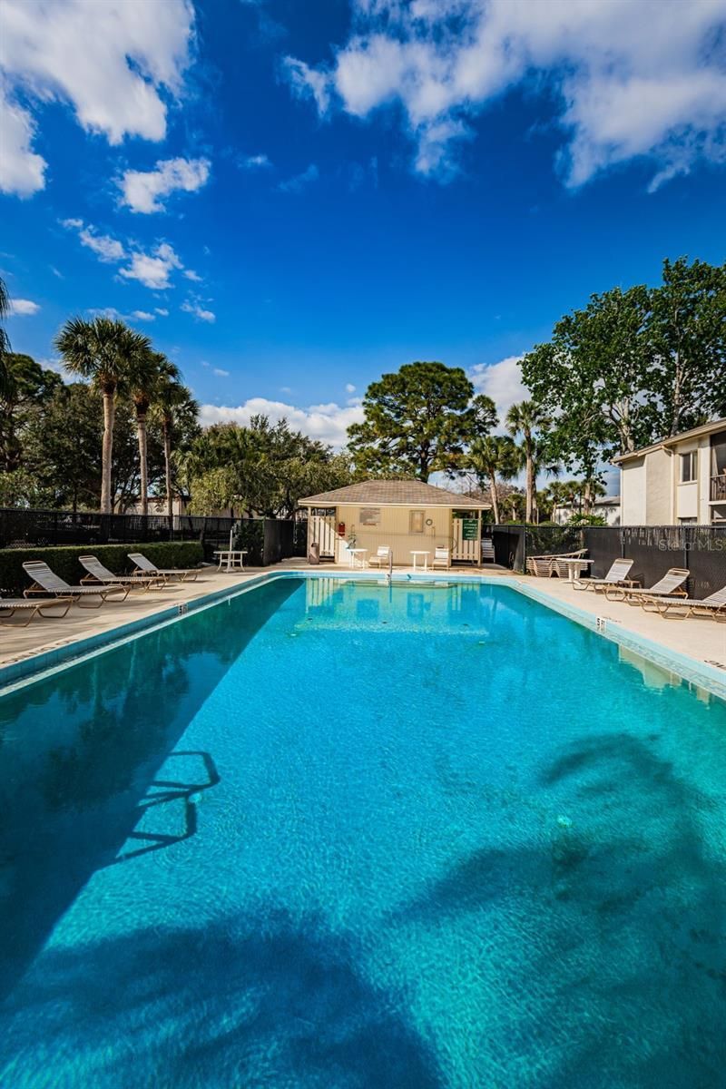 110 Cypress Ct , Unit 3-82, Oldsmar, FL 34677 Photo