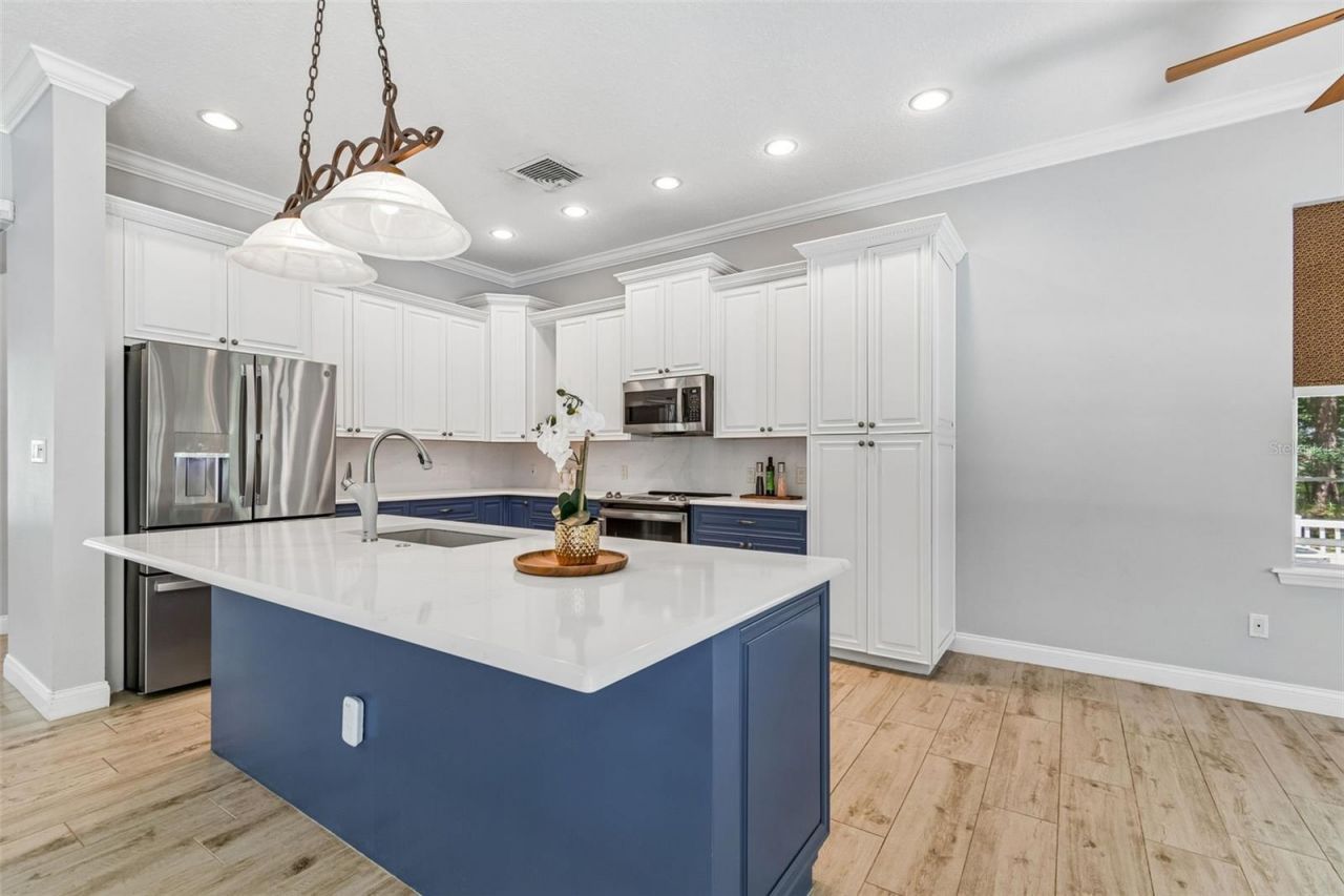 27708 Santa Anita Boulevard, Wesley Chapel, FL 33544 Photo
