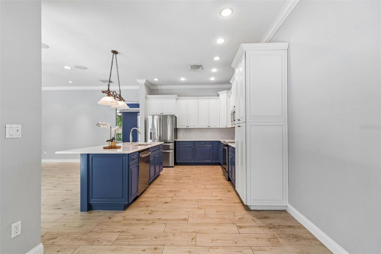 27708 Santa Anita Boulevard, Wesley Chapel, FL 33544 Photo