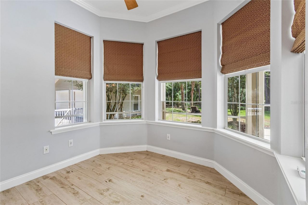 27708 Santa Anita Boulevard, Wesley Chapel, FL 33544 Photo
