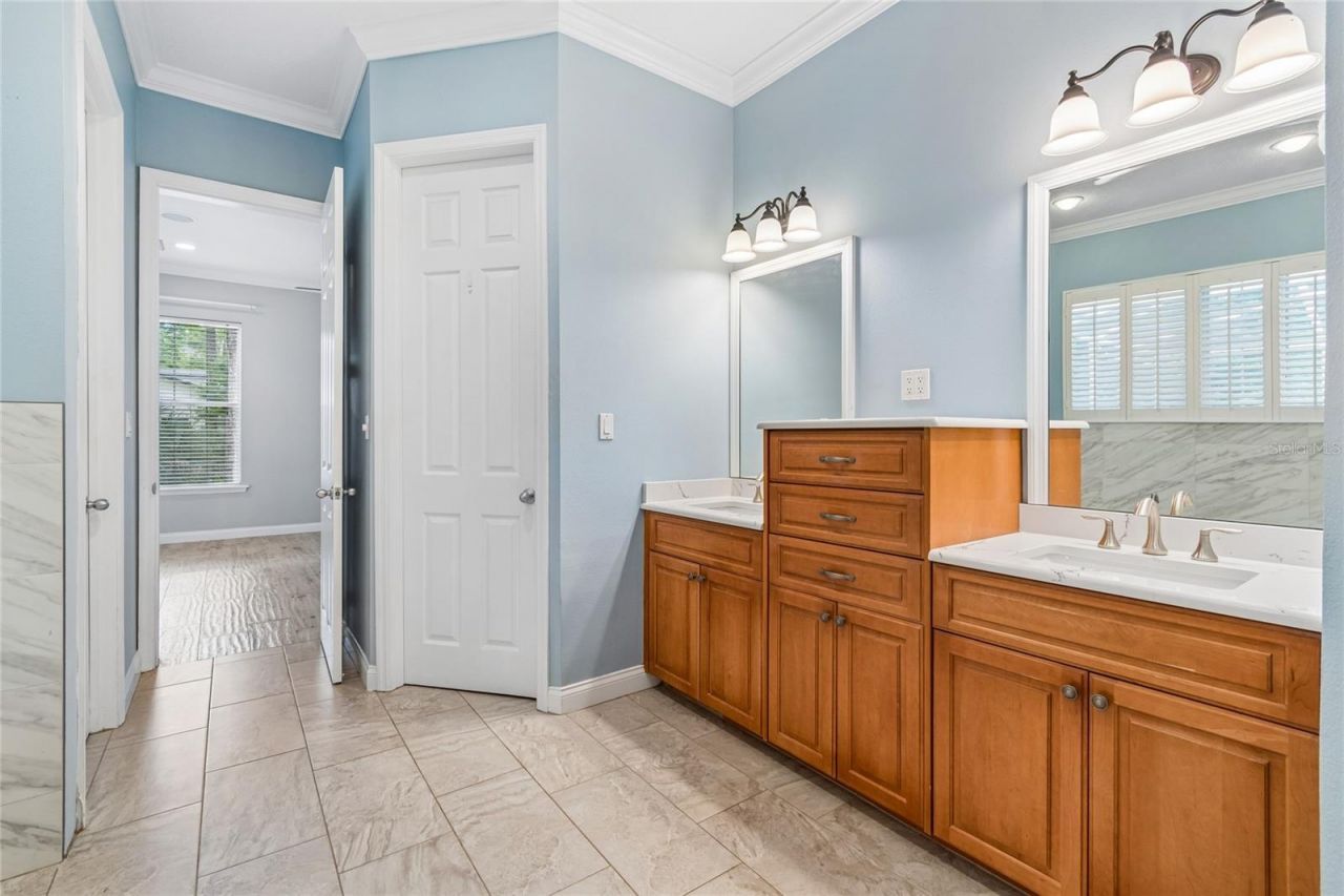 27708 Santa Anita Boulevard, Wesley Chapel, FL 33544 Photo