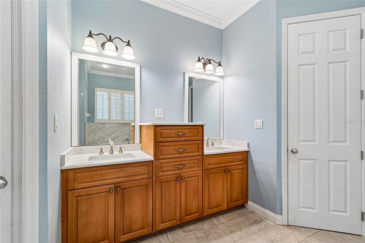 27708 Santa Anita Boulevard, Wesley Chapel, FL 33544 Photo