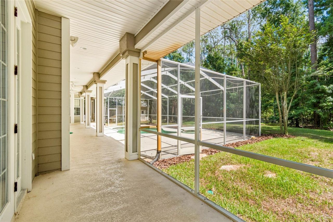 27708 Santa Anita Boulevard, Wesley Chapel, FL 33544 Photo