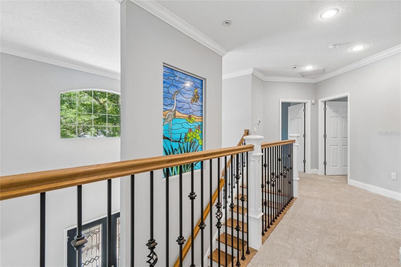 27708 Santa Anita Boulevard, Wesley Chapel, FL 33544 Photo