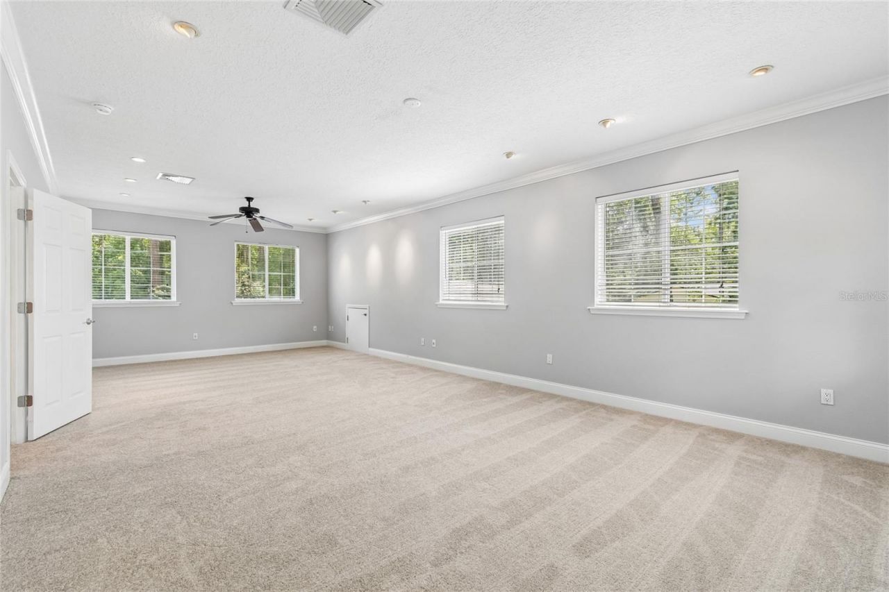 27708 Santa Anita Boulevard, Wesley Chapel, FL 33544 Photo