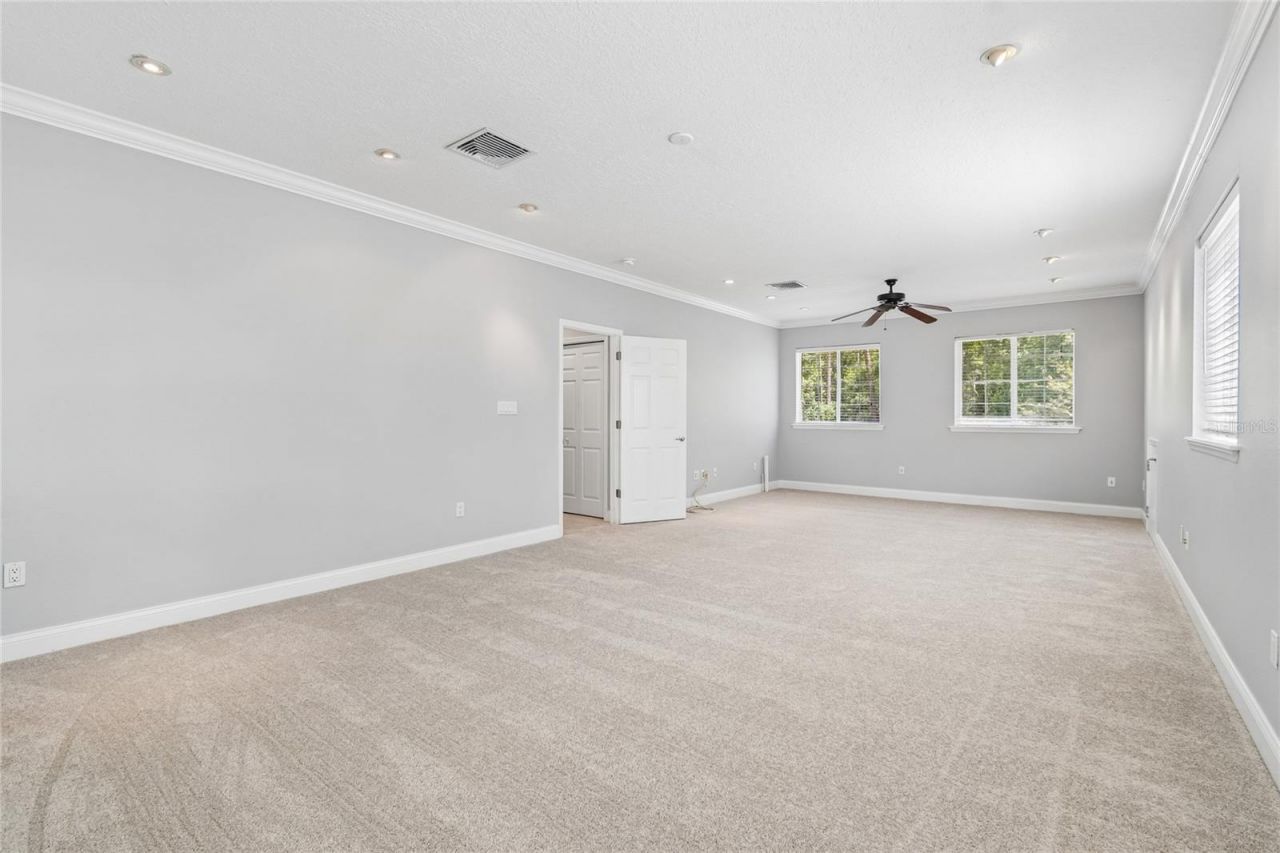 27708 Santa Anita Boulevard, Wesley Chapel, FL 33544 Photo