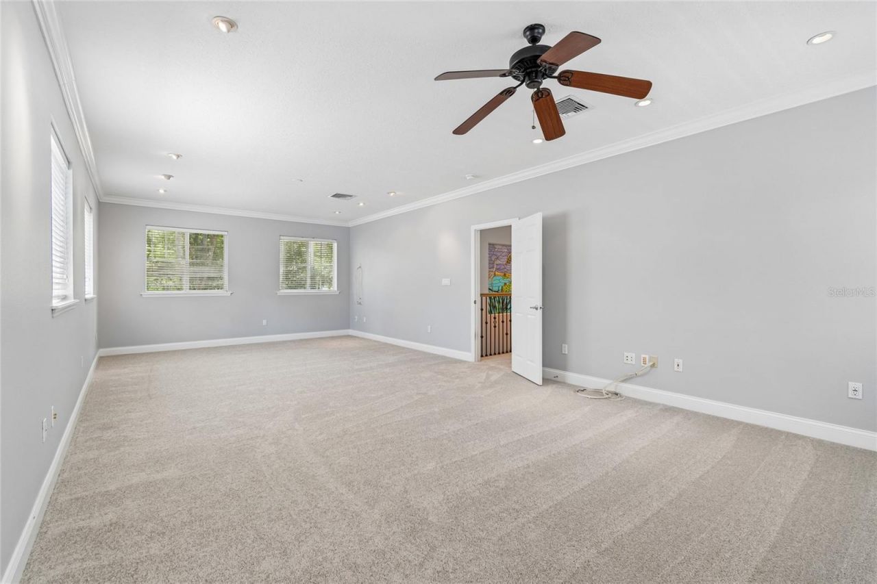27708 Santa Anita Boulevard, Wesley Chapel, FL 33544 Photo