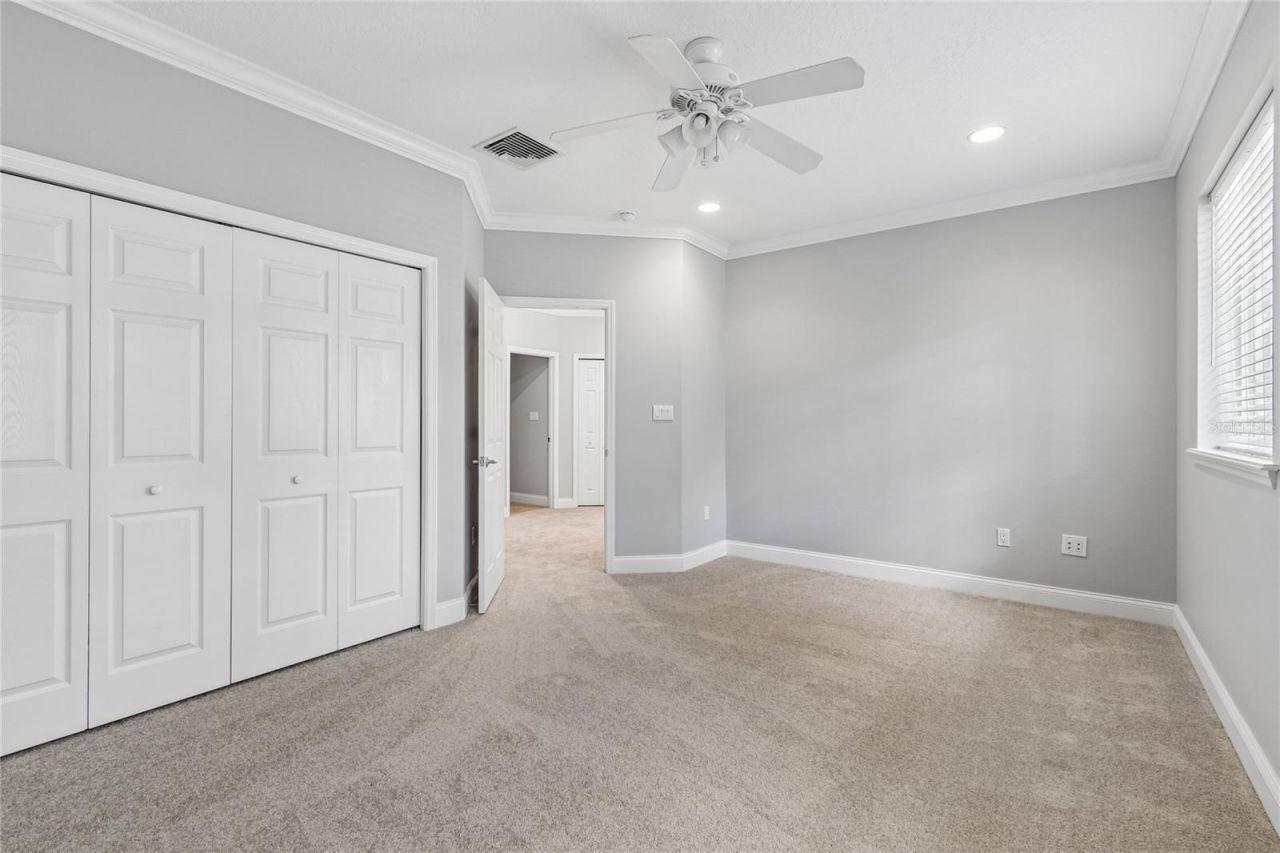 27708 Santa Anita Boulevard, Wesley Chapel, FL 33544 Photo
