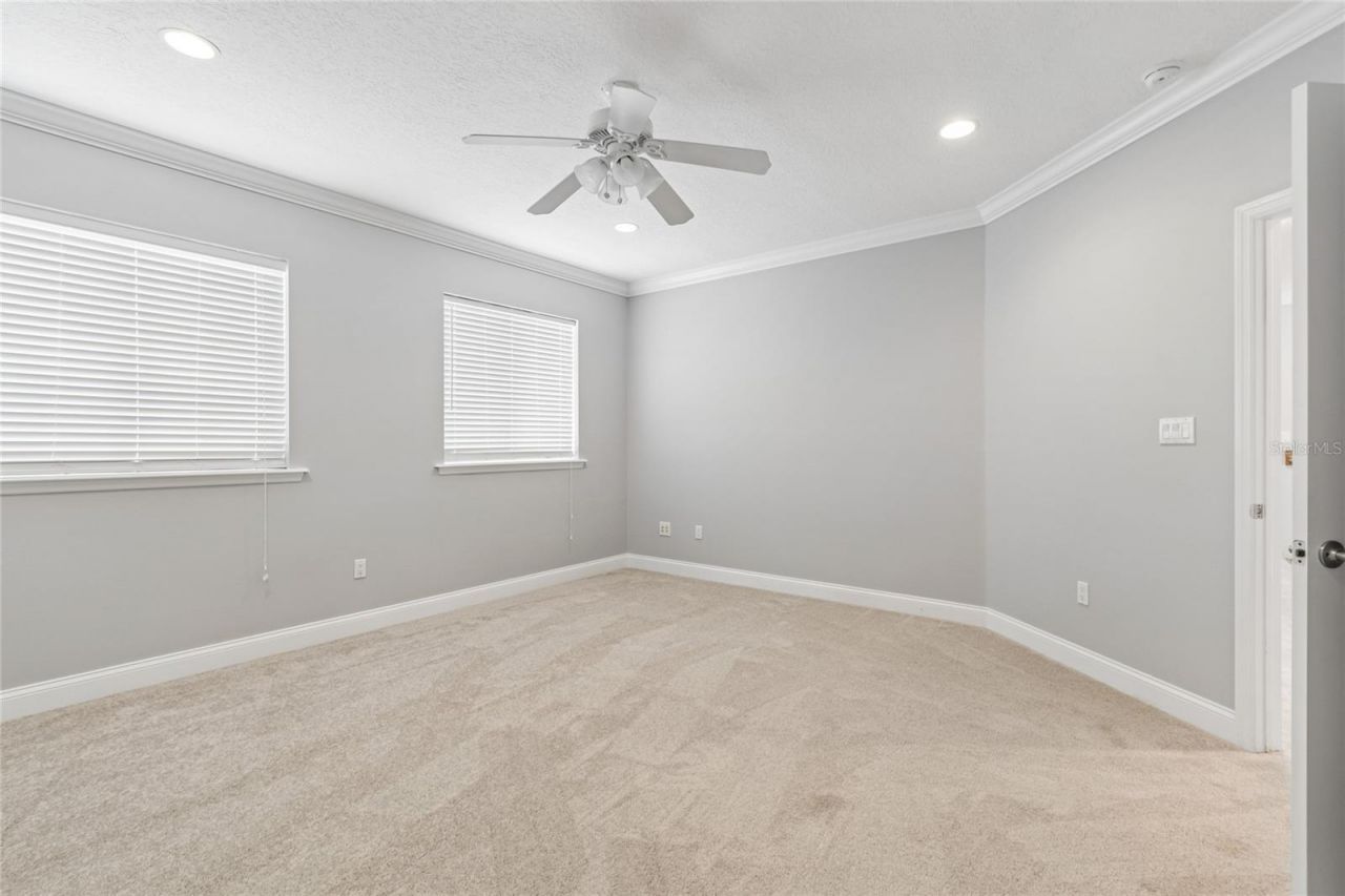 27708 Santa Anita Boulevard, Wesley Chapel, FL 33544 Photo