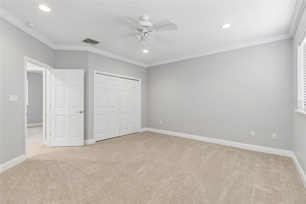 27708 Santa Anita Boulevard, Wesley Chapel, FL 33544 Photo