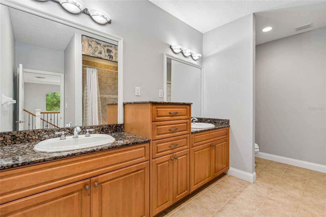 27708 Santa Anita Boulevard, Wesley Chapel, FL 33544 Photo