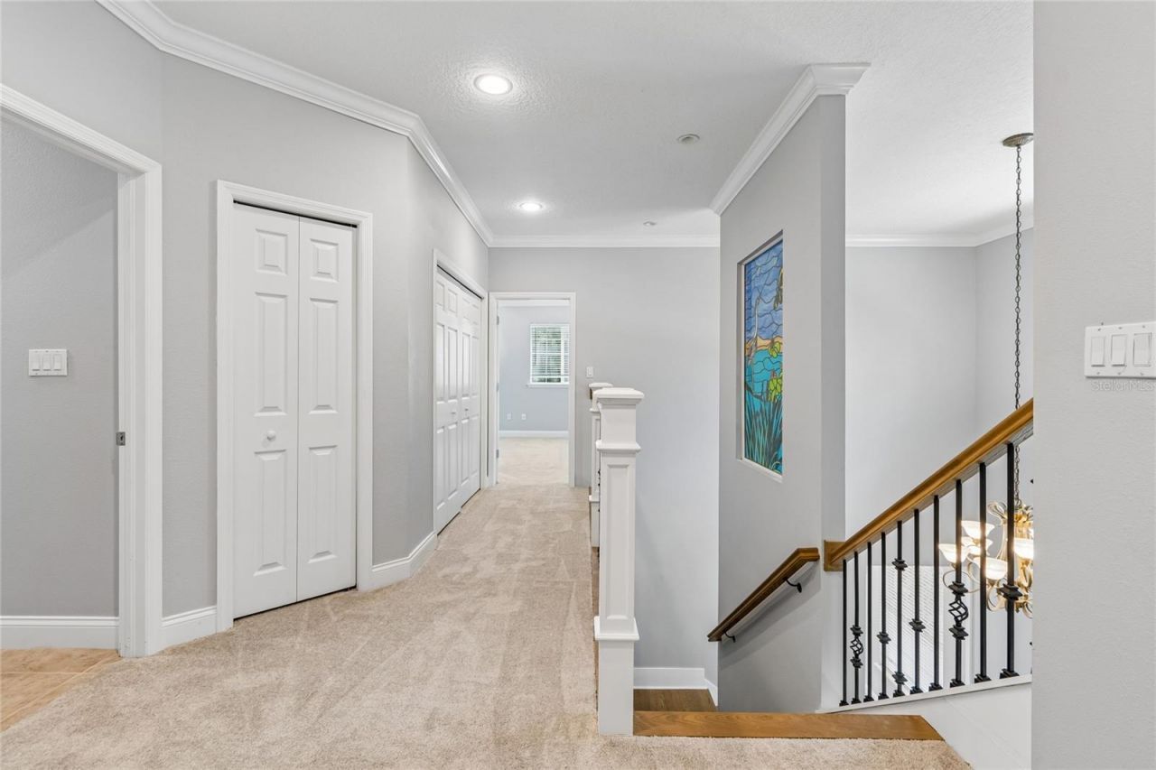 27708 Santa Anita Boulevard, Wesley Chapel, FL 33544 Photo