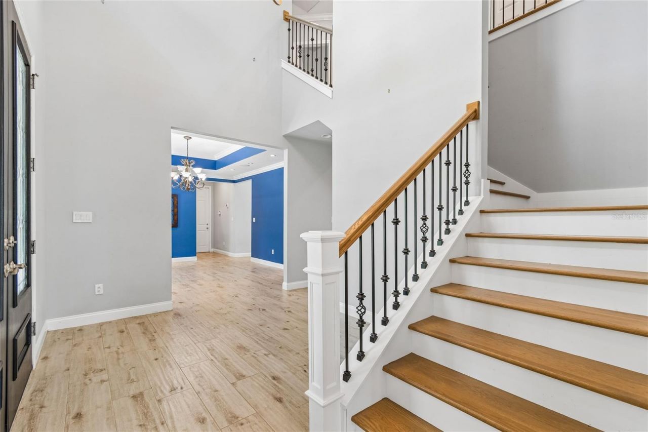 27708 Santa Anita Boulevard, Wesley Chapel, FL 33544 Photo